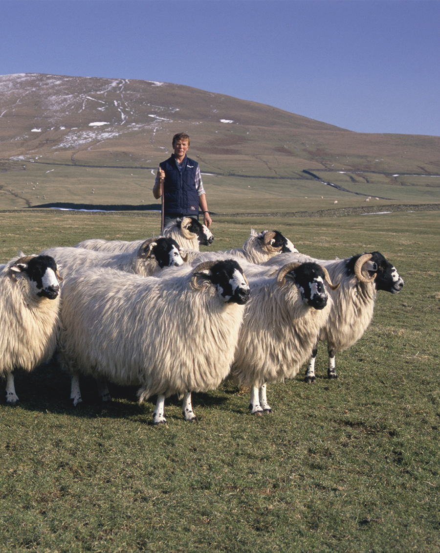 Rough Fell 2 Re-sized